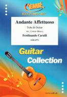 Andante Affettuoso Standard