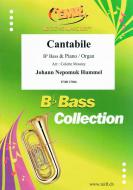 Cantabile Standard