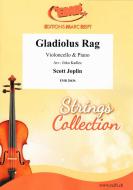 Gladiolus Rag Standard
