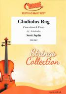 Gladiolus Rag Standard