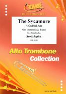 The Sycamore Standard