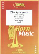 The Sycamore Standard
