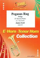 Pegasus Rag Standard