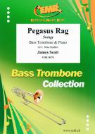 Pegasus Rag Standard