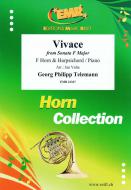 Vivace Standard