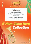 Vivace Standard