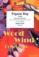 Pegasus Rag Standard