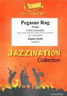 Pegasus Rag Standard