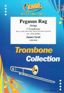 Pegasus Rag Standard