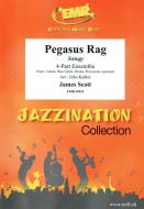 Pegasus Rag Standard