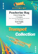 Peacherine Rag Standard