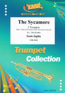 The Syncamore Standard