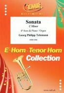 Sonata C minor Standard