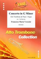 Concerto in G Minor Standard