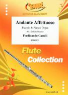 Andante Affettuoso Download