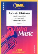 Andante Affettuoso Download