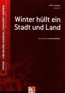 Winter hüllt ein Stadt und Land 