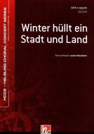 Winter hüllt ein Stadt und Land 