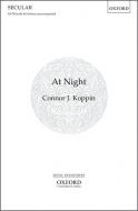 At Night 