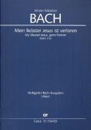 My blessed Jesus, gone forever BWV 154 Standard
