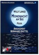 Mondnacht am See 