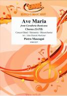 Ave Maria Standard