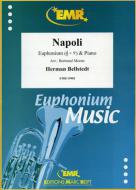 Napoli Standard