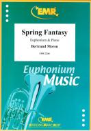 Spring Fantasy Standard