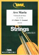 Ave Maria Standard