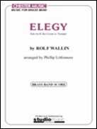 Elegy 