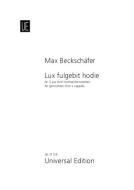 Lux fulgebit hodie 