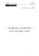 in the half-light of dusk 