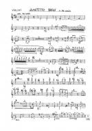 String Quartet No. 1 - 'Quartetto Breve' 