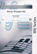Stevie Wonder-ful 
