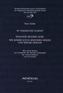 IN TORMENTIIS SCRIPSIT 