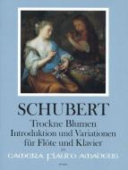 Withered flowers op. 160 (D 803) - Introduction and variations 
