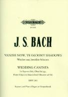 Cantata No. 202 'Vanish now Ye Gloomy Shadow' 