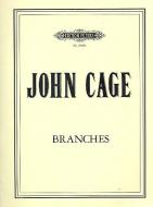 Branches 