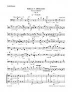 Pelléas et Mélisande op. 80 