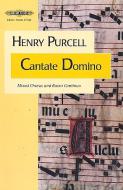 Cantante Domino 