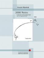 2000 Notes 