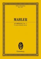 Symphony No. 3 D minor Standard