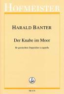 Der Knabe im Moor 