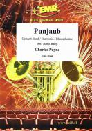 Punjaub Download