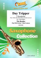 Day Tripper Download