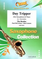 Day Tripper Standard
