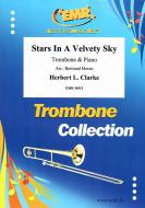 Stars In A Velvety Sky Standard