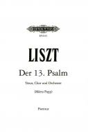The 13th Psalm 