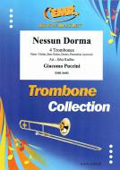 Nessun Dorma Standard