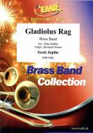 Gladiolus Rag Standard